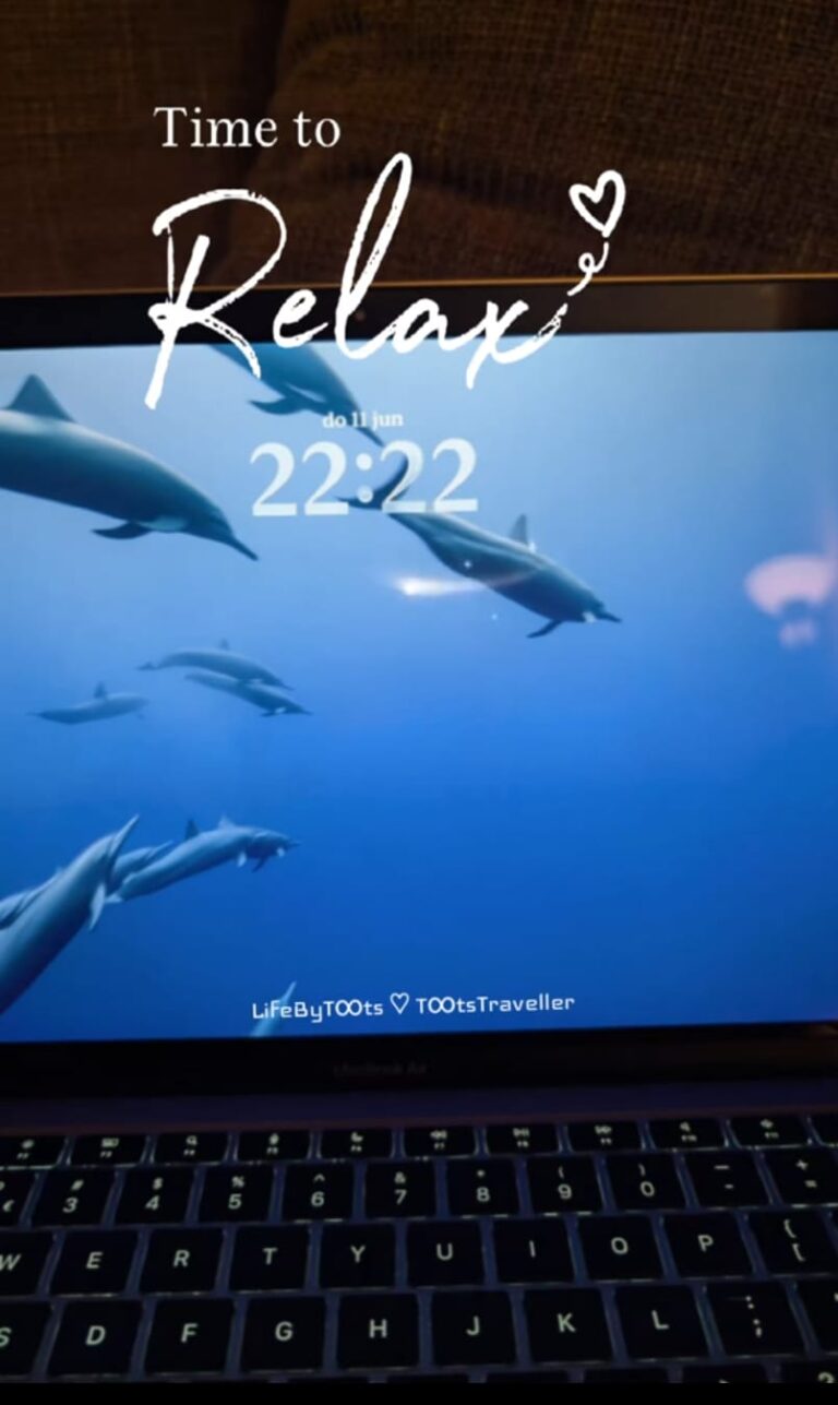 Dolphins swimming and the clock is at 22:22